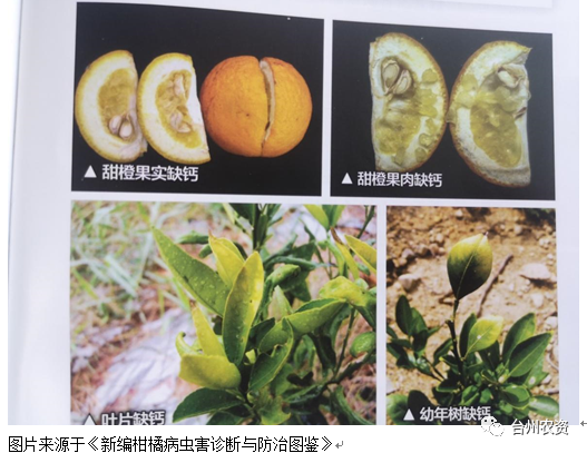 臺州農資 臺州農資