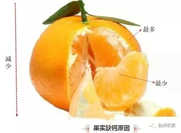 臺州農資 臺州農資