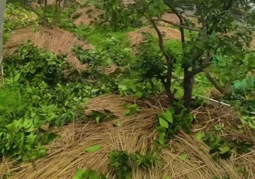 1675646122396064.jpg 640 (10).jpg