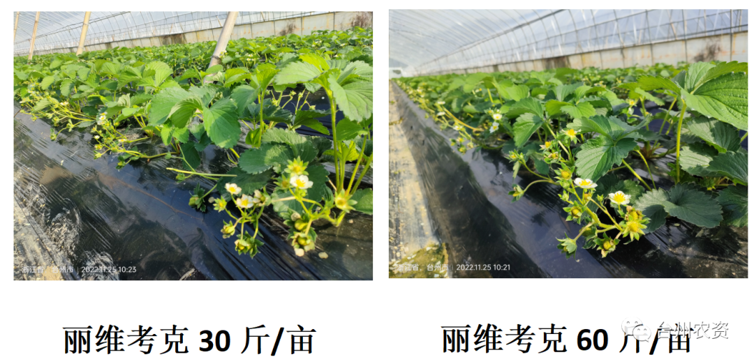 1675647308139341.png 640 (18).png